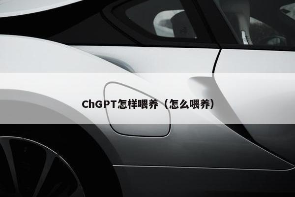 ChGPT怎样喂养（怎么喂养）