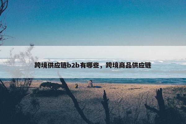 跨境供应链b2b有哪些，跨境商品供应链