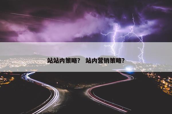 站站内策略？ 站内营销策略？