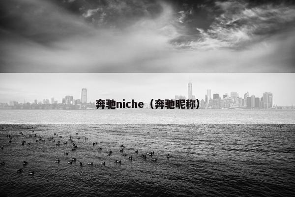奔驰niche（奔驰昵称）