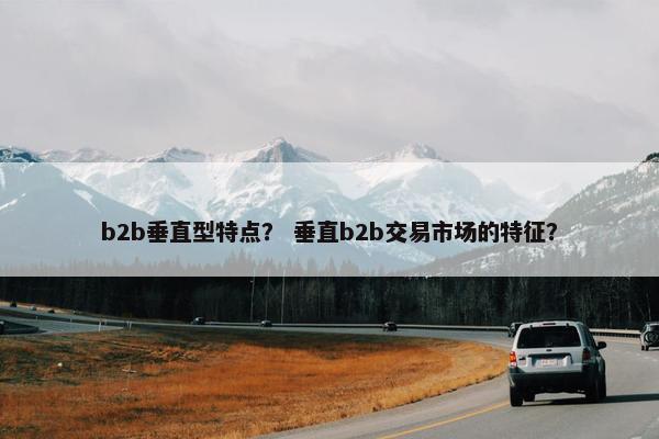 b2b垂直型特点？ 垂直b2b交易市场的特征？