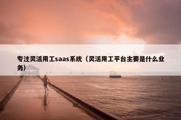 专注灵活用工saas系统（灵活用工平台主要是什么业务）
