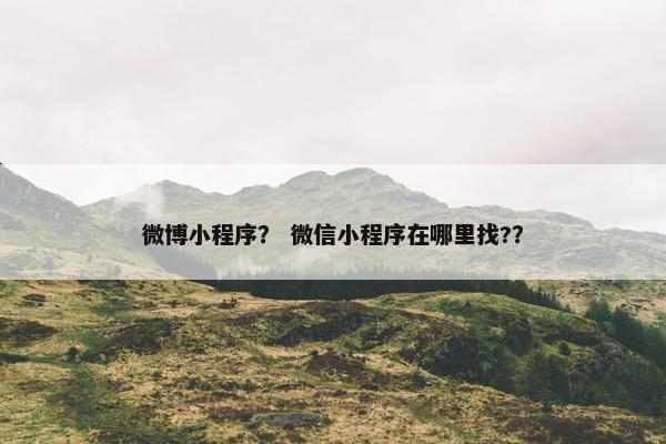 微博小程序？ 微信小程序在哪里找?？