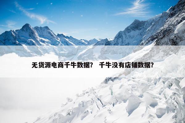 无货源电商千牛数据？ 千牛没有店铺数据？