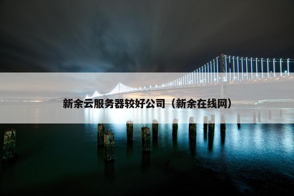 新余云服务器较好公司（新余在线网）