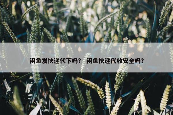 闲鱼发快递代下吗？ 闲鱼快递代收安全吗？