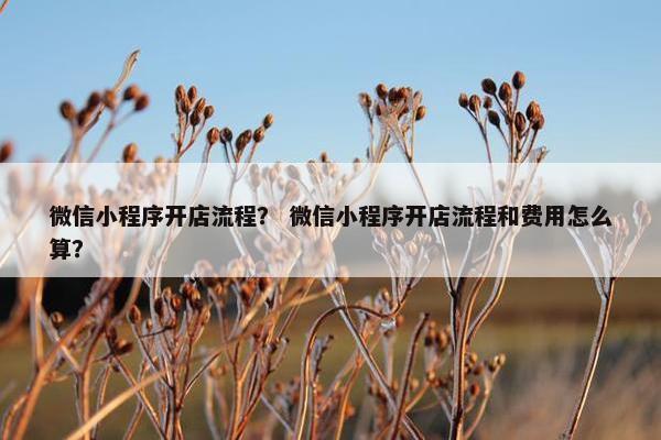 微信小程序开店流程？ 微信小程序开店流程和费用怎么算？