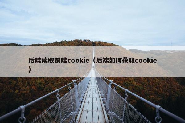 后端读取前端cookie（后端如何获取cookie）