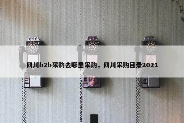 四川b2b采购去哪里采购，四川采购目录2021