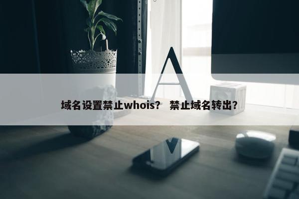 域名设置禁止whois？ 禁止域名转出？