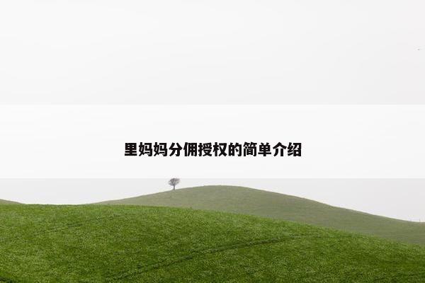里妈妈分佣授权的简单介绍