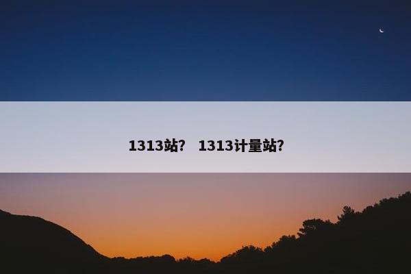 1313站？ 1313计量站？