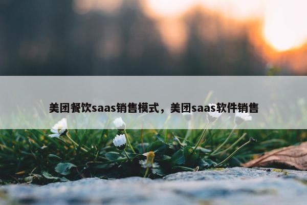 美团餐饮saas销售模式，美团saas软件销售