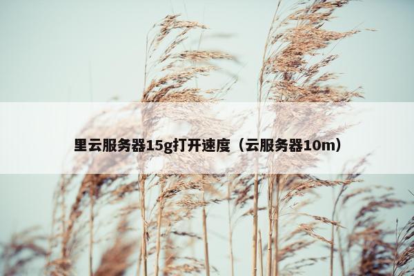 里云服务器15g打开速度（云服务器10m）