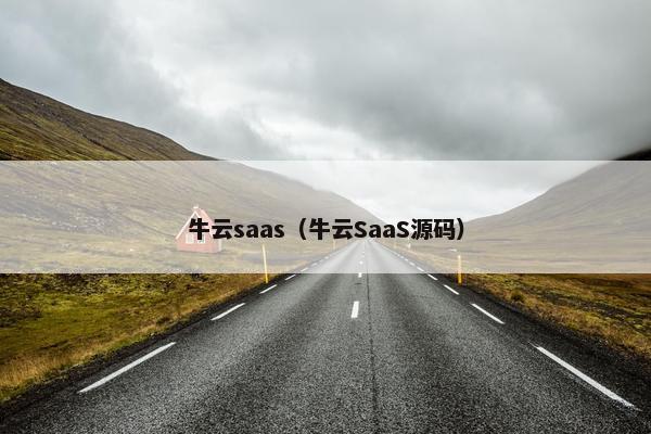 牛云saas（牛云SaaS源码）