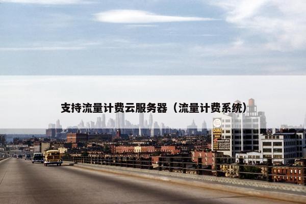 支持流量计费云服务器（流量计费系统）