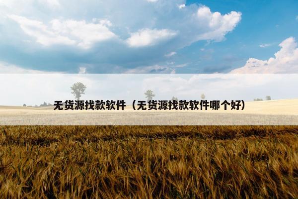 无货源找款软件（无货源找款软件哪个好）