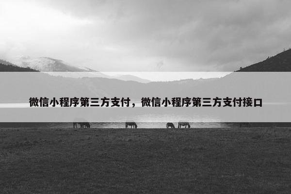 微信小程序第三方支付，微信小程序第三方支付接口