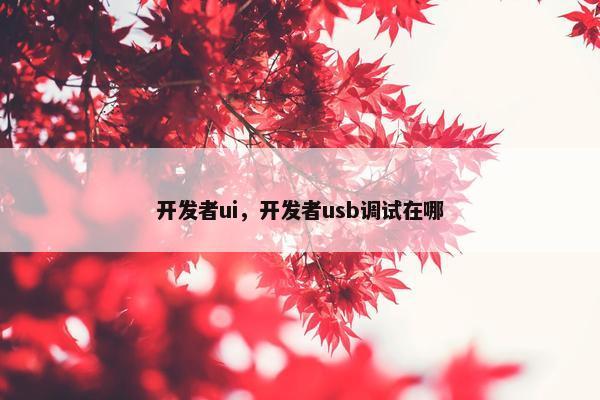 开发者ui，开发者usb调试在哪