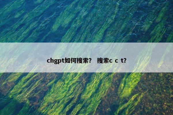 chgpt如何搜索？ 搜索c c t？