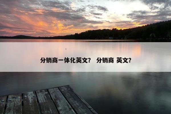 分销商一体化英文？ 分销商 英文？