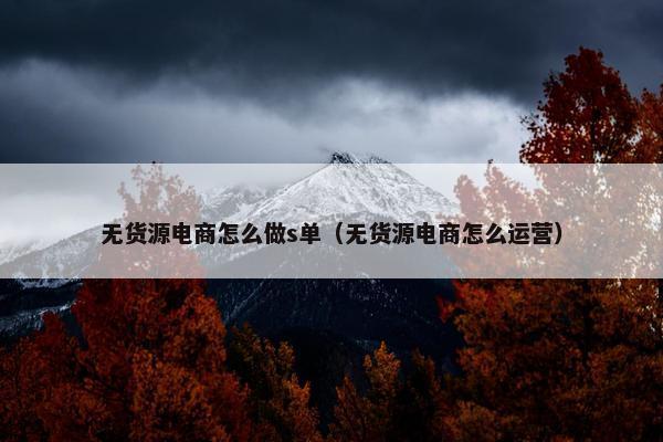 无货源电商怎么做s单（无货源电商怎么运营）
