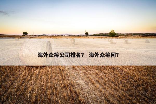 海外众筹公司排名？ 海外众筹网？