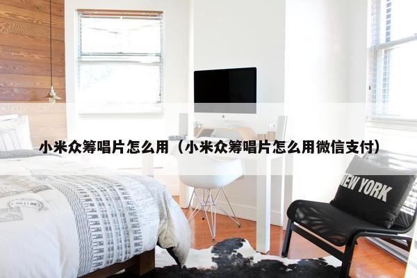 小米众筹唱片怎么用（小米众筹唱片怎么用微信支付）