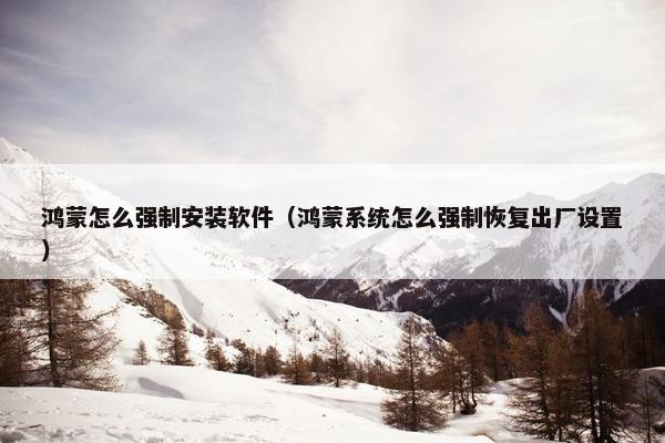 鸿蒙怎么强制安装软件（鸿蒙系统怎么强制恢复出厂设置）