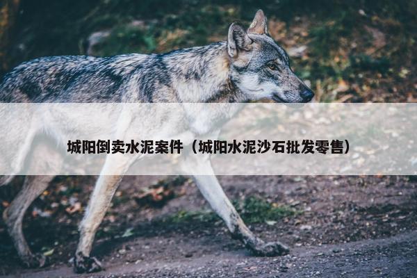 城阳倒卖水泥案件（城阳水泥沙石批发零售）