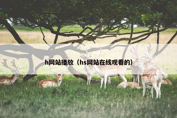 h网站播放（hs网站在线观看的）