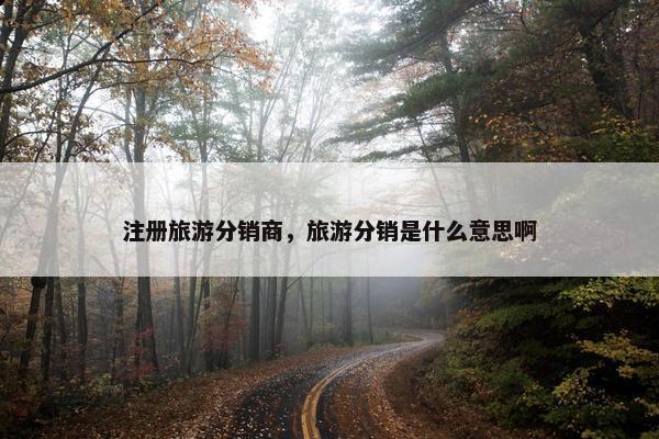 注册旅游分销商，旅游分销是什么意思啊