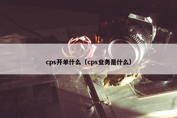 cps开单什么（cps业务是什么）