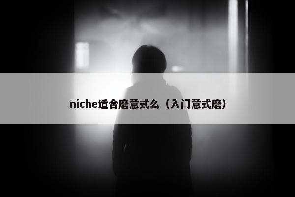 niche适合磨意式么（入门意式磨）