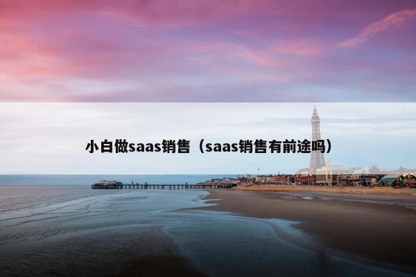 小白做saas销售（saas销售有前途吗）
