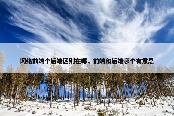 网络前端个后端区别在哪，前端和后端哪个有意思