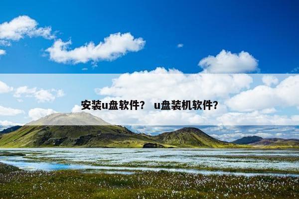安装u盘软件？ u盘装机软件？