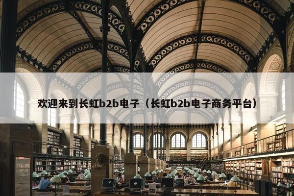 欢迎来到长虹b2b电子（长虹b2b电子商务平台）
