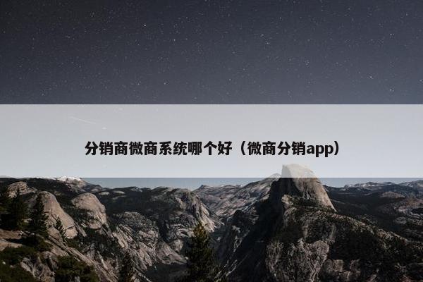 分销商微商系统哪个好（微商分销app）