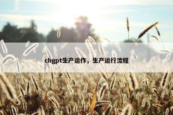 chgpt生产运作，生产运行流程