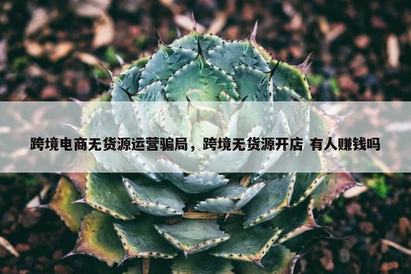 跨境电商无货源运营骗局，跨境无货源开店 有人赚钱吗