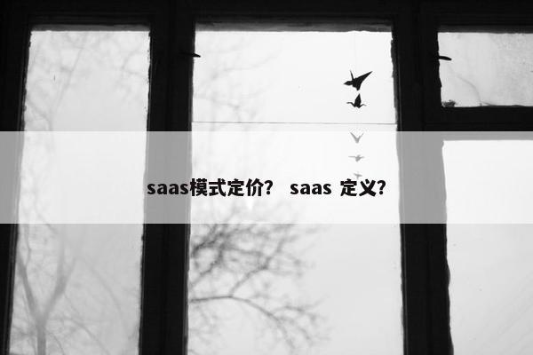saas模式定价？ saas 定义？