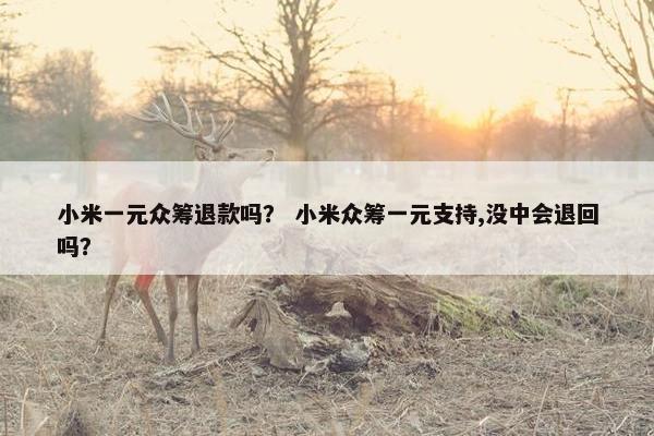小米一元众筹退款吗？ 小米众筹一元支持,没中会退回吗？