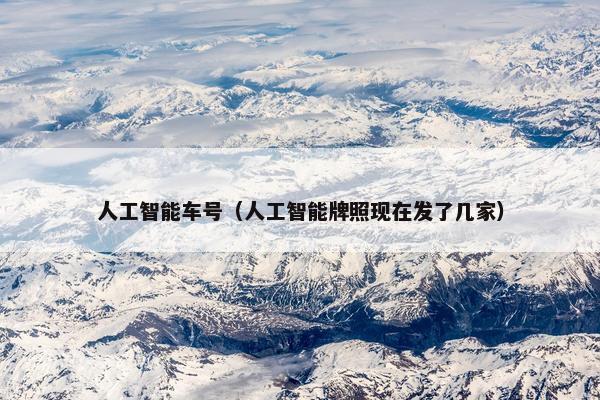 人工智能车号（人工智能牌照现在发了几家）