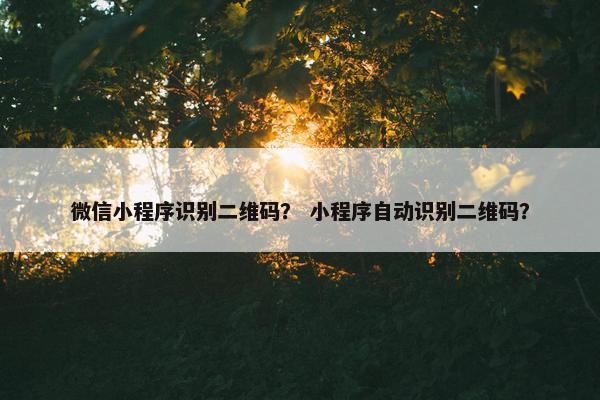微信小程序识别二维码？ 小程序自动识别二维码？