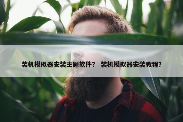 装机模拟器安装主题软件？ 装机模拟器安装教程？