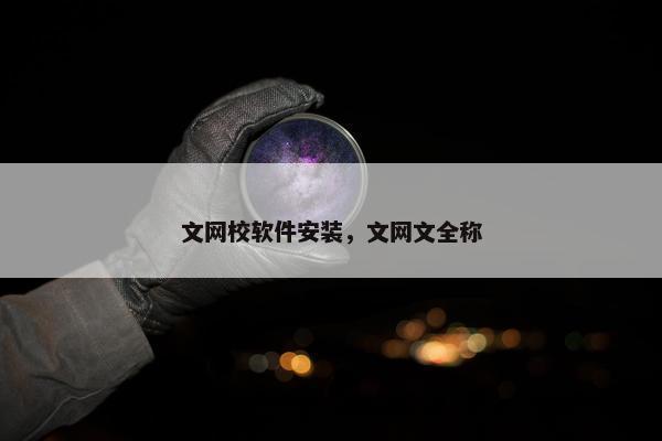 文网校软件安装，文网文全称