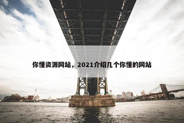 你懂资源网站，2021介绍几个你懂的网站