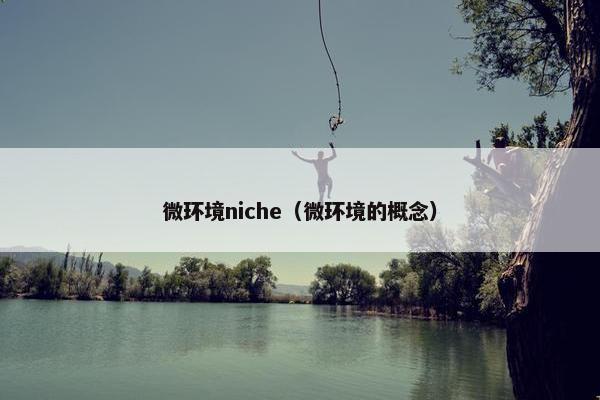微环境niche（微环境的概念）