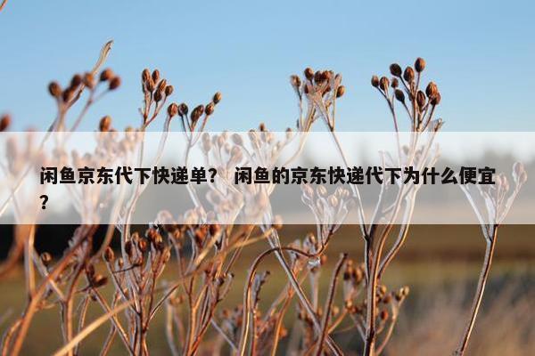 闲鱼京东代下快递单？ 闲鱼的京东快递代下为什么便宜？